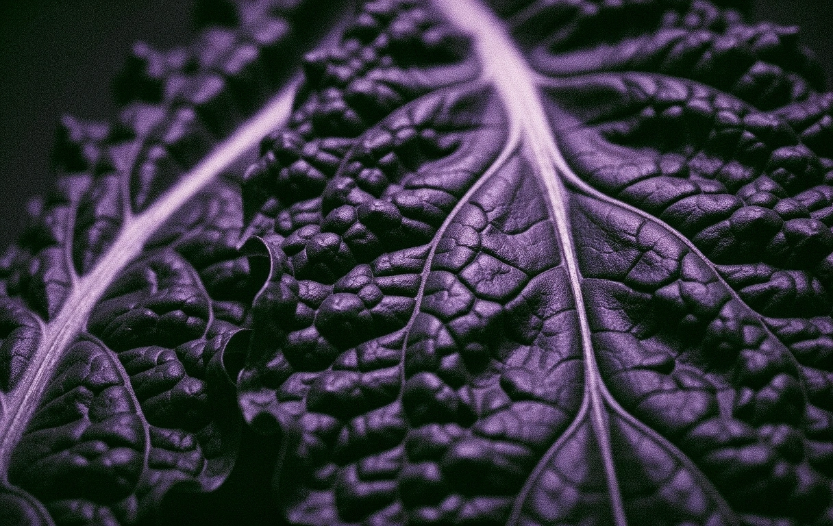 Culinaire texturen
